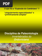 Aula 5 Paleontologia Invertebrados