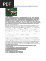 Download Analisa SWOT Terhadap Usaha Beternak Ayam Potong by Alfarizapradana Sangputra Abdulaziz SN112051398 doc pdf