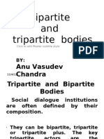 Tripartite and Bipartite Bodies