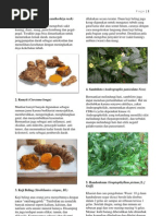 Download TOGA Manfaat n Gambar by mayang_puspasari SN112055396 doc pdf