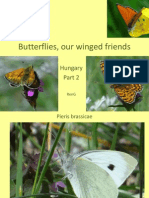 PPP Butterflies, Our Winged Friends, Hungary, Part 2, RenG