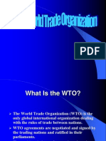 Wto 2