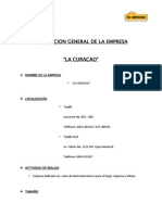 Descripcion General y Antecedentes de La Empresa.