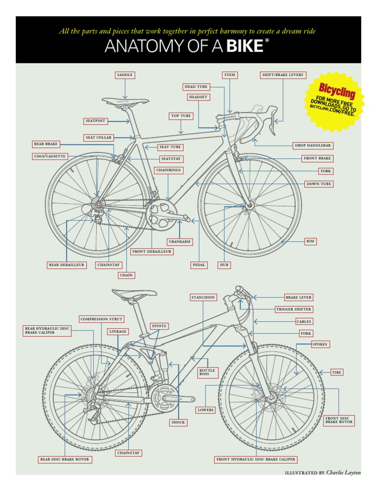 Anatomy of Bike Parts Explained | PDF