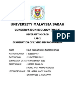 University Malaysia Sabah - Lab 2