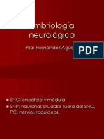 Embriología Neurológica 1