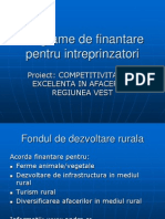 Programe de Finantare Pentru Intreprinzatori