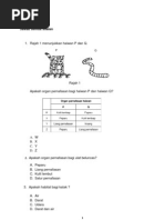 Soalan Sains Tahun 4