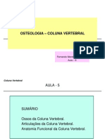 AULA 8 Anatomia Coluna Vertebral