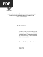 AnaSilviaPereiraSantos.pdf