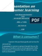 Consumer Learning