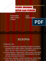 Biokimia Baru