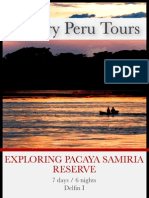 Exploring Pacaya Samiria Reserve - Delfin 1