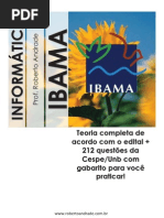 IBAMA 2013 - Teoria de informática completa com 200 questões com gabarito