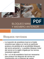 Bloqueo Mandibular y Miembro Anterior