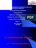 Propagacion Vegetativa Sexual