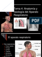 Aparato_respiratorio en Diapositivas