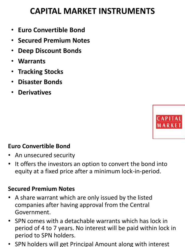 What are capital market instruments?