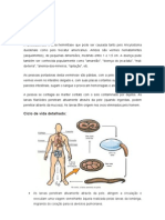 Amarelão: sintomas, transmissão e tratamento