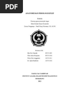 Download Makalah Anatomi Dan Fisiologi Kulit Fix by Fika Atina Rizqiana SN112314187 doc pdf