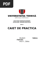 Caiet de practica - 