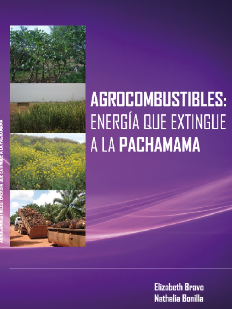 Agrocombustible Contra Pachamama Biocombustible Gasolina