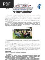 Circulos Pedagogicos Orientaciones