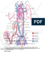 Fetal Perfusion/Congenital Heart Defects