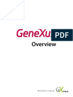 GeneXus Overview