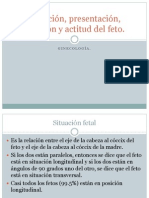 Situación fetal, presentación y posición