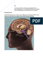 Neuroscience A