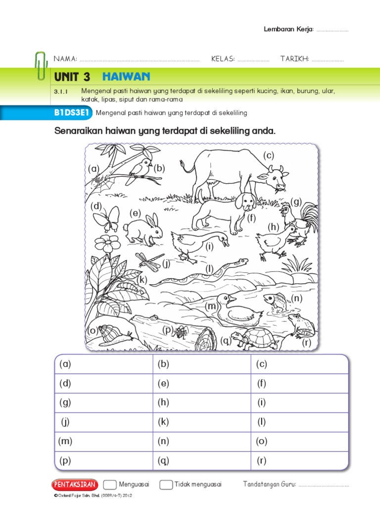 Unit 3