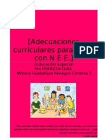 Adecuaciones Curriculares para Niños Con N.E.E.