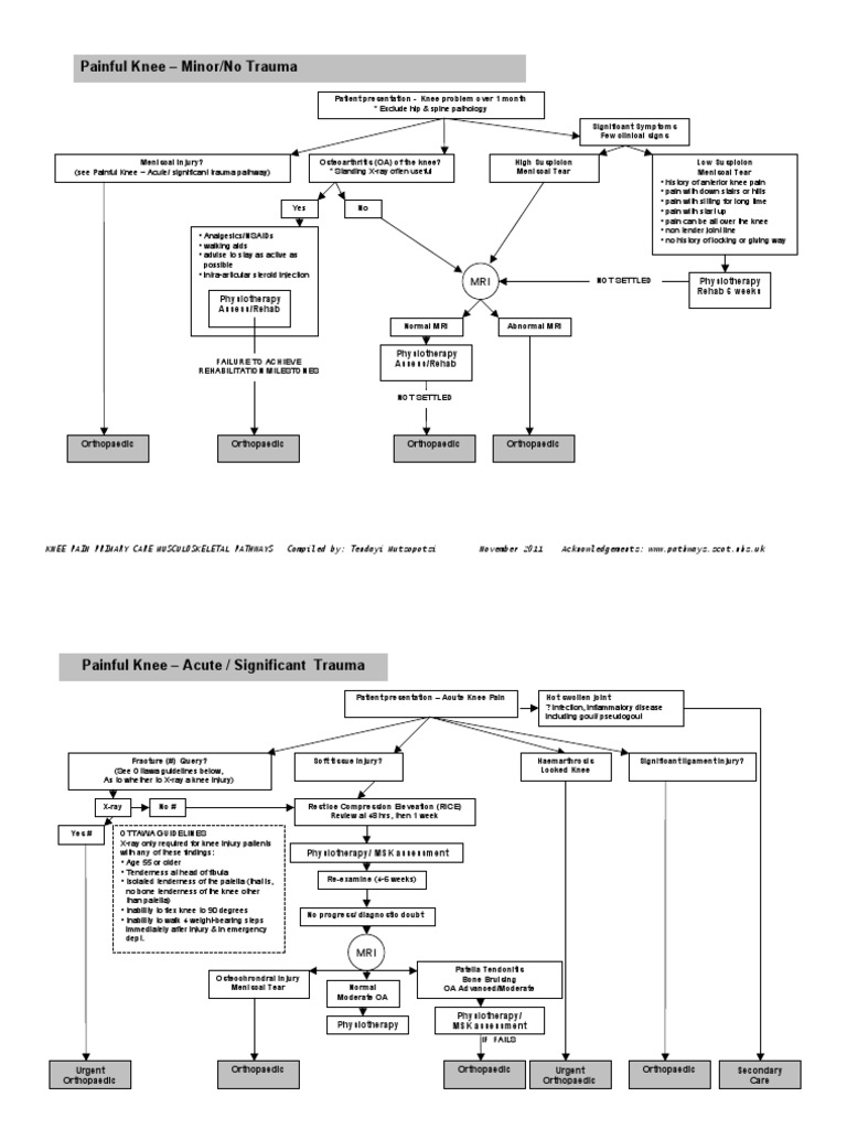 Knee Pain Management Pathways Guide | PDF | Science & Mathematics