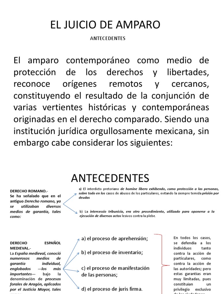 El Juicio de Amparo | PDF | Habeas corpus | Derechos