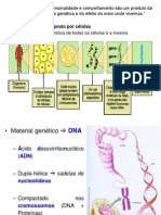 AULA 5_Ácidos Nucleicos