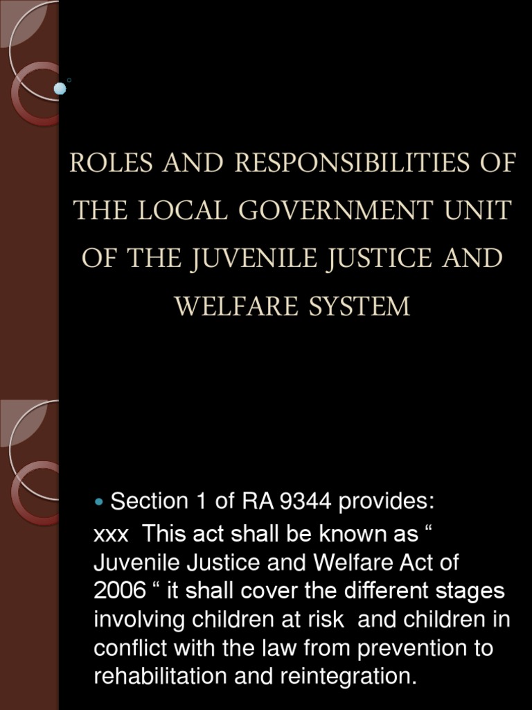 Roles and Responsibilities of The Local Government Unit | PDF | Child ...