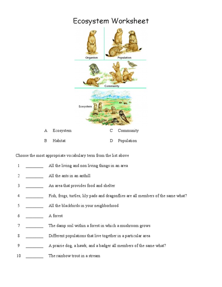 32-ecosystem-worksheet-answer-key-support-worksheet