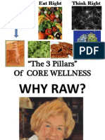 "The 3 Pillars" of Core Wellness
