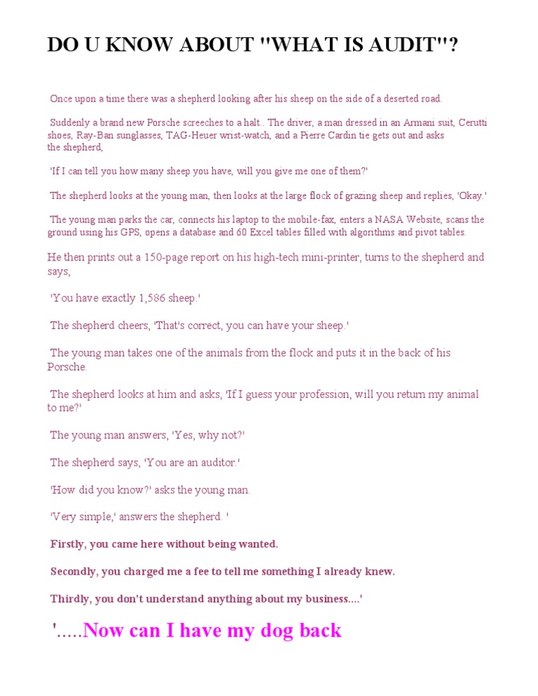 Understanding Auditors Through Humor | PDF