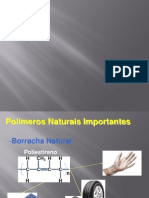 polimeros Naturais