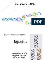 5ADN Replicación (1)