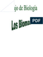 Trabajo Biologia - Los Biomas 4º ESO