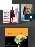 Spinal Cord Injury