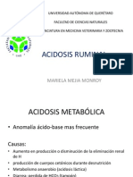 Acidosis Ruminal