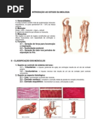 Anatomia - Sistema Muscular