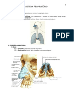 Anatomia - Sistema Respiratorio