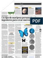Un tipo de mariposa peruana inspira a ingenieros para crear nuevos materiales