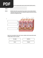 Nota Sains Ting 2 Bab 2 (Nutrisi)