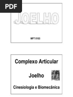 Biomecanica Do Joelho